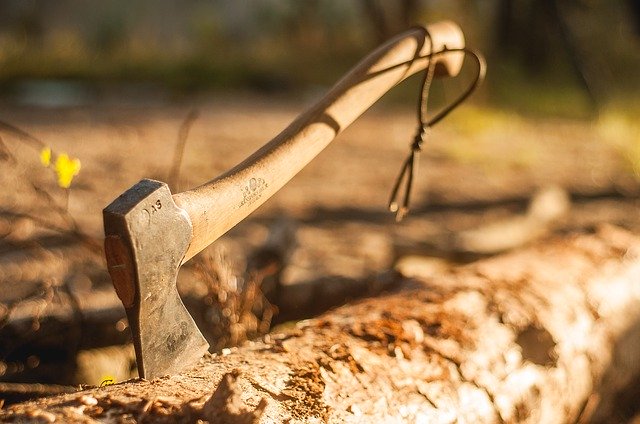 feit Scenario Het koud krijgen Everything You Wanted To Know about Axes ... - Knives Illustrated