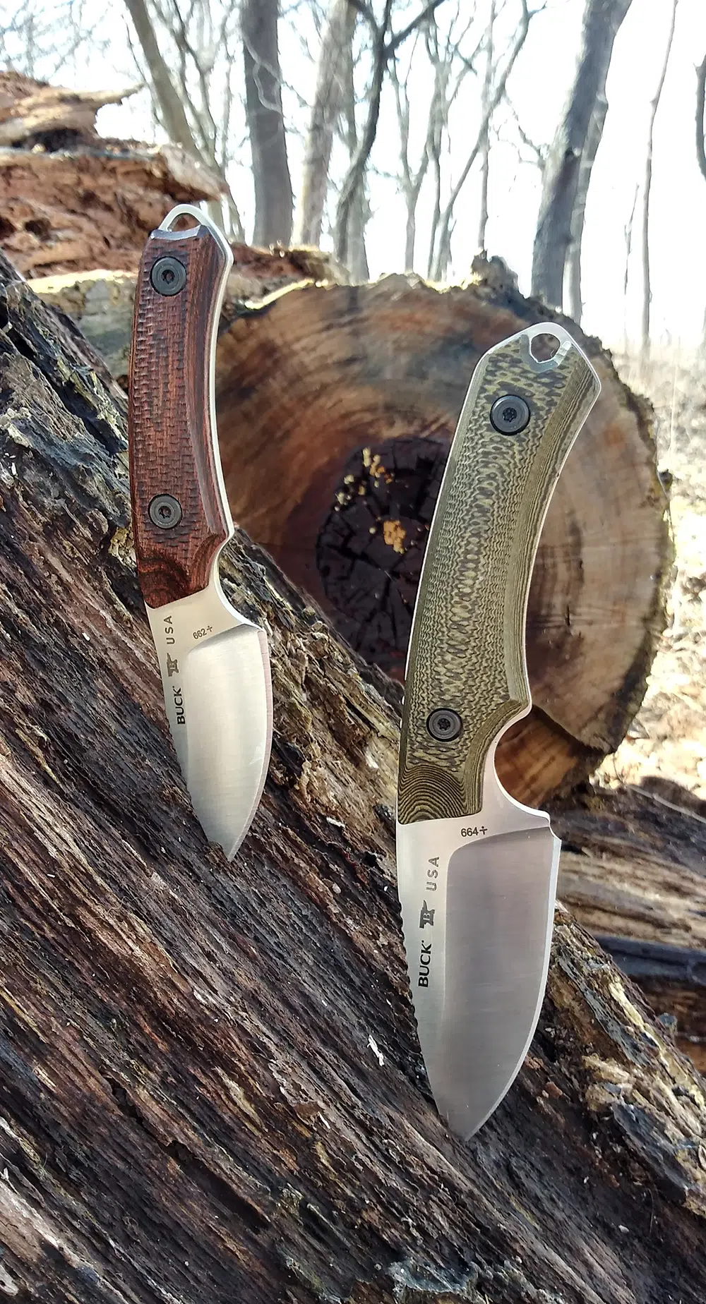 Buck Alpha Hunter knife